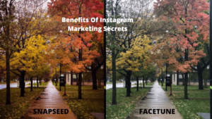 Benefits Of Instagram Marketing Secrets USA 2021